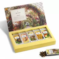 15 Infuzii de ceai colectia Soleil Tea Forte