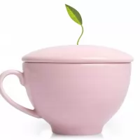 Set cadou ceai Jardin Tea Forte