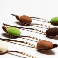 Migdale cu glazura de ciocolata si pudra de cacao Catanies 100g