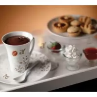 Ciocolata Calda cu portocala si scortisoara 30g Arthemia