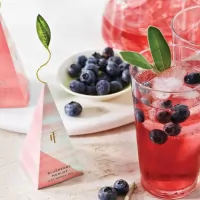 Cutie cu 5 piramide de Ceai rece Blueberry Merlot Tea Forte