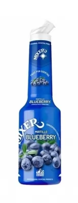 Piure concentrat de pulpa de afine 100% Mixer 1L