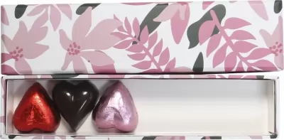 Praline ciocolata belgiana Valentino Tropical Reglet 60 G